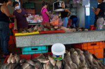 Sedeco estima alza de 5.2% en venta de mariscos y pescados