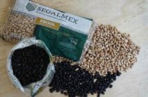 Segalmex se fusionará con Diconsa para crear ‘Alimentación para el Bienestar’
