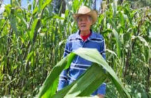 Pobreza extrema en el campo; Oaxaca encabeza la crisis de jornaleros agrícolas